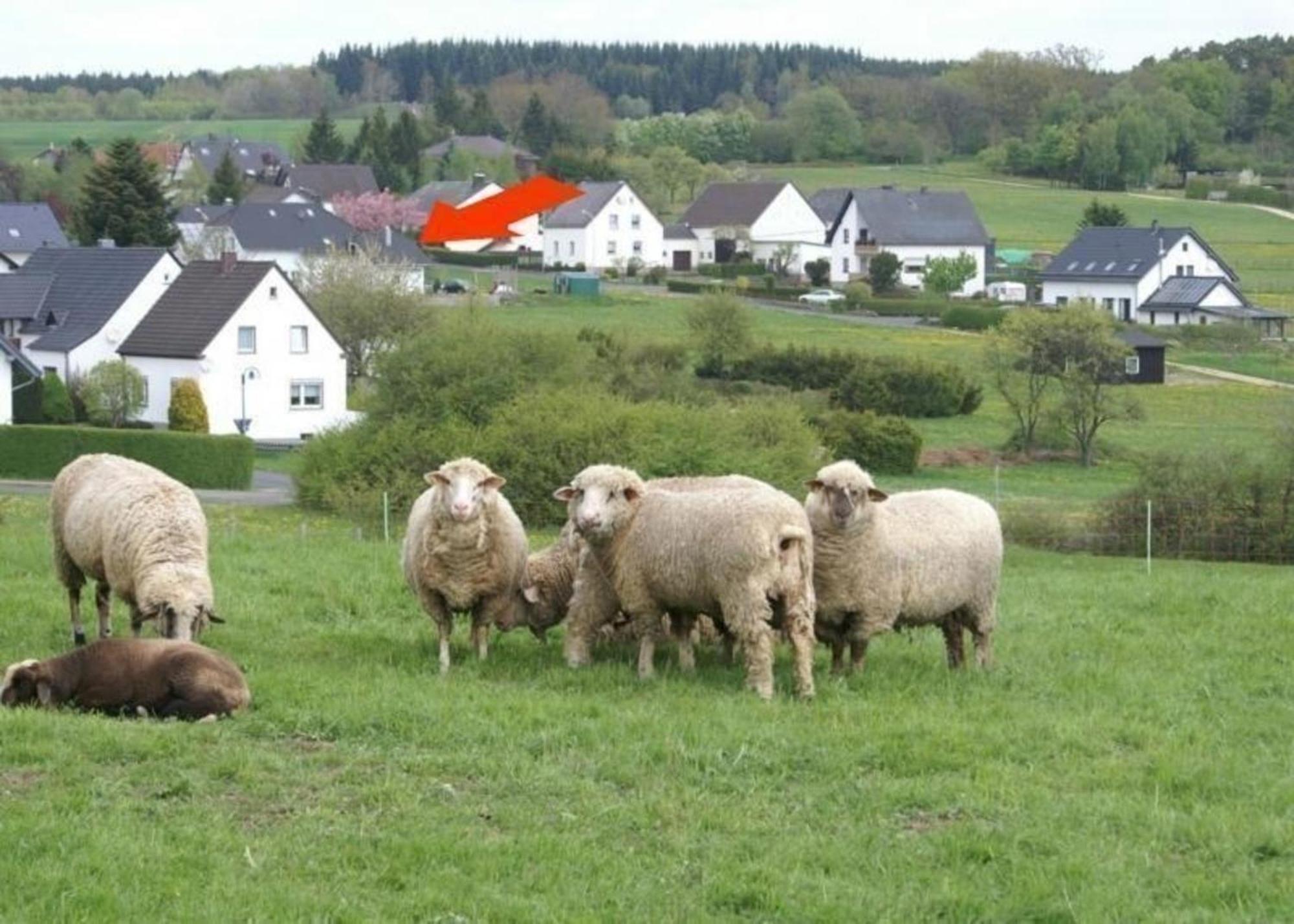 Gemuetliche Maisonette Wohnung Seelenblick Berndorf  Kültér fotó